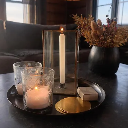 Fjellhytte Med 4 Soverom, Sauna, Peis Og Terrasse 度假居 *