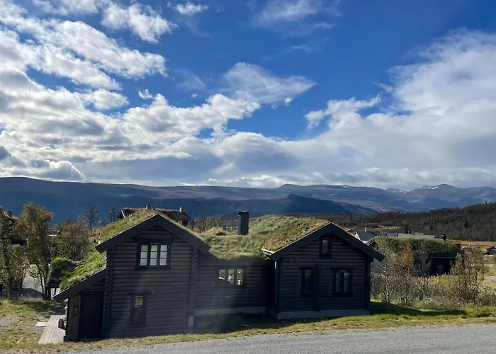 Fjellhytte Med 4 Soverom, Sauna, Peis Og Terrasse بيت للعطل *