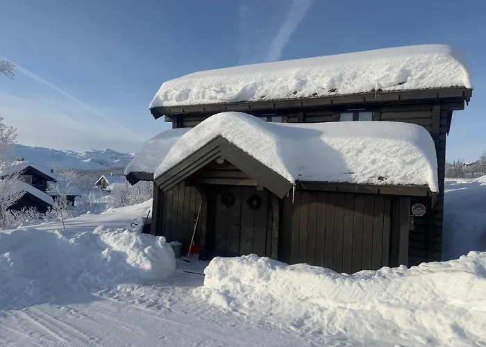 Fjellhytte Med 4 Soverom, Sauna, Peis Og Terrasse بيت للعطل