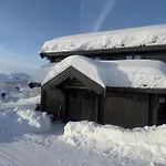 Fjellhytte Med 4 Soverom, Sauna, Peis Og Terrasse Vakantiehuis